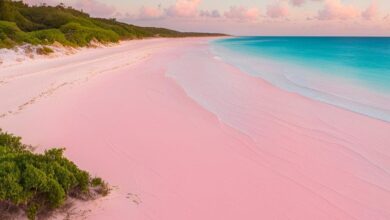 Pink Sands Beach Harbour Island Travel Guide: Your Ultimate Travel Companion