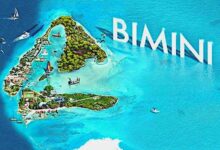 Bimini Day Trip From Miami Ferry Guide: Your Ultimate Day Trip Companion