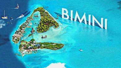 Bimini Day Trip From Miami Ferry Guide: Your Ultimate Day Trip Companion